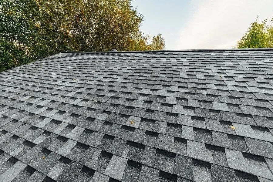 Wide view of a roof covered in gray architectural asphalt shingles with trees behind.