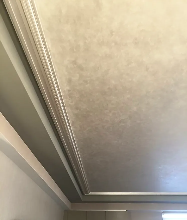 Tray ceiling with a mottled faux plaster finish framed by layered white crown molding.
